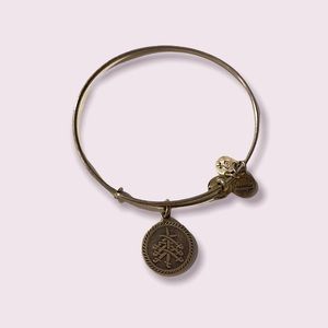 Alex and Ani Energy Bracelet